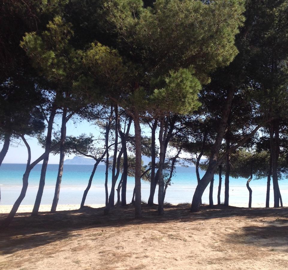 Beach *