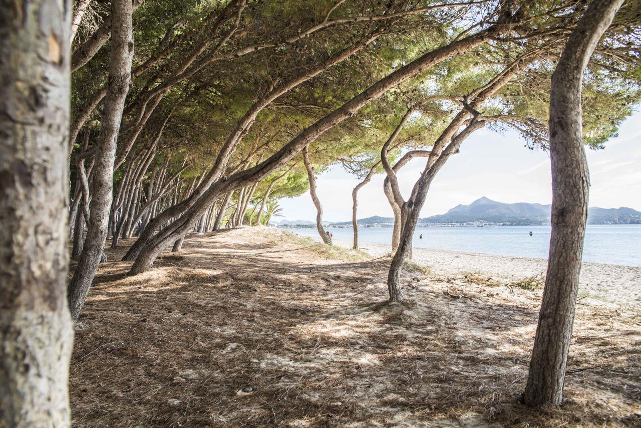 Beach Port de Alcudia (Mallorca)